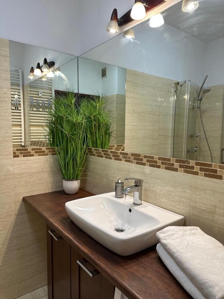 Apartament Przy Rynku Poznań Buitenkant foto