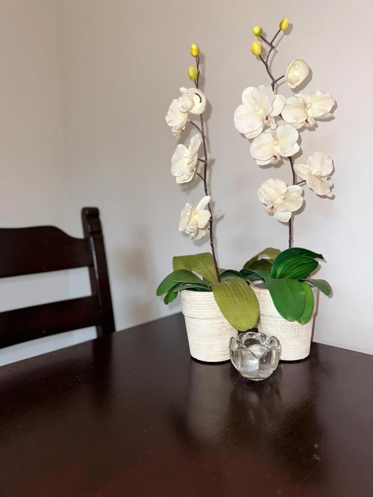 Apartament Przy Rynku Poznań Buitenkant foto